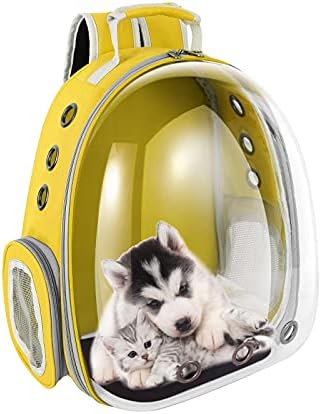 Kedi Sırt Çantası Taşıyıcı Havayolu Onaylı evcil hayvan taşıyıcı seyahat sırt çantası-Yürüyüş-Açık evcil hayvan sırt çantası