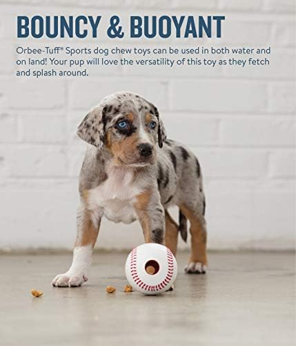 Gezegen Köpek Orbee-Tüf Spor Topları-Tedavi Dağıtım Köpek Çiğnemek Oyuncaklar