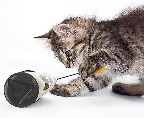 A1 İnteraktif Oyuncak, Kedi Denge Salıncak Araba. Catnip Topları ile birlikte gelir. Hiçbir Elektrikli Sürücü Gereklidir. Evcil