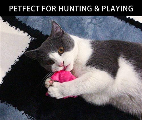 GOHOO PET Catnip Oyuncaklar Buruşuk Kağıt, 3 Paket Kedi Oyuncaklar ile Catnip, Kedi Çiğnemek Oyuncak Kapalı Kediler için, Balık