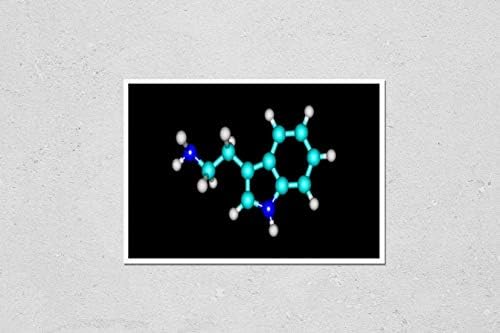 Triptaminin poster Reprodüksiyonu bir monoamin alkaloiddir. Bir indol halka yapısı içerir ve yapısal olarak amino asit triptofanına