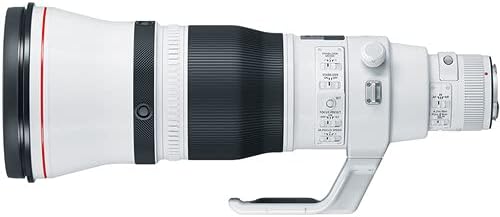 Canon EF 600mm f / 4L ıs III USM Lens Temizleme Kiti, Tam Boy Tripod ve Yastıklı Sırt Çantası (Intl Modeli)