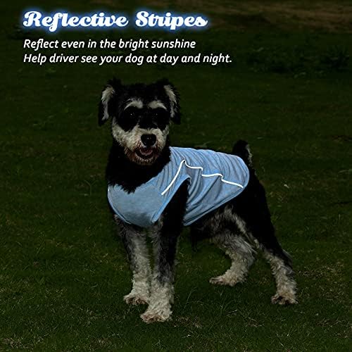 Katpetik Köpek Gömlek Köpek Giysileri - Küçük Köpekler için Köpek Giysileri Erkek Mükemmel İşçilik Köpek Giysileri Nefes Alabilen