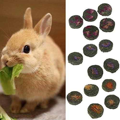 PULABO Basit ve Sofistike DesignSmall Pet çiğneme Oyuncak-5 adet Doğal Çim Kek Çerez Diş Temizleme Taşlama Oyuncaklar Tavşanlar