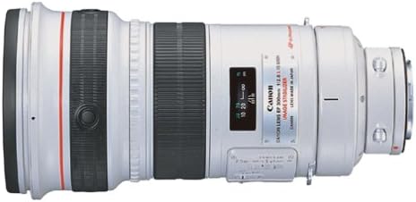 Canon EF 300mm f/2.8 L IS USM Telefoto Lens Canon SLR Kameralar için