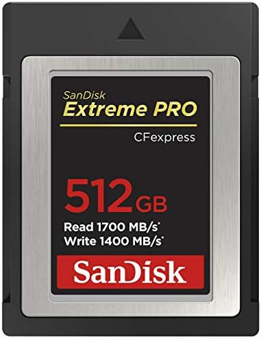 SanDisk 256 GB Extreme PRO CFexpress Kart Tipi B-SDCFE-256G-GN4NN