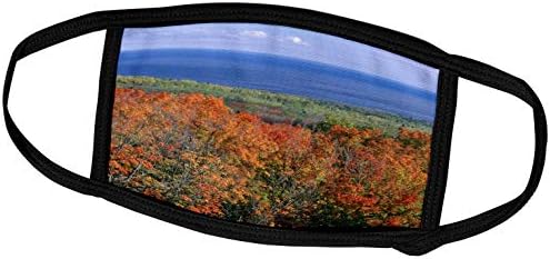 3dRose Danita Delimont-Ağaçlar-ABD, Minnesota, Superior Ulusal Ormanı, Superior Gölü Üzerinde Sonbahar-Yüz Maskeleri (fm_259551_3)