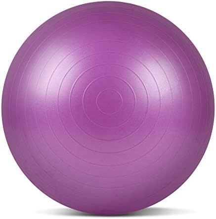 EchoSmile Egzersiz Topu, 65 cm Ekstra Kalın Yoga Topu, Anti-Patlama Ağır Stabilite Topu 440lbs Destekler, Hızlı Pompa ile Jimnastik