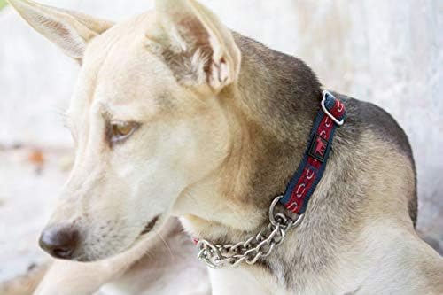 Köpekler için Tuff Pupper Martingale Yaka, Eğitim için Mükemmeldir | Ayarlanabilir Yumuşak Naylon ve Çelik Zincirli Çekme Köpek